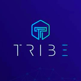 tribe crypto price