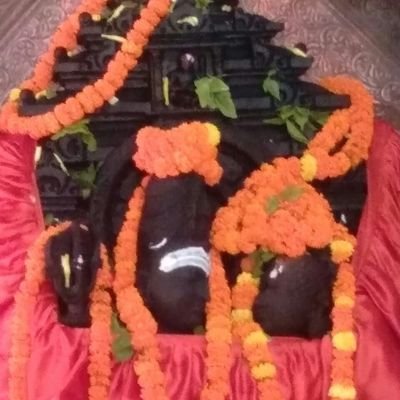 SanjayP58167269's profile picture. new s