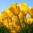 arunsastricbse's profile image