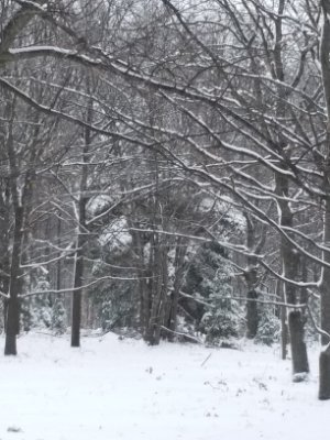 harvivk's profile picture. Bob