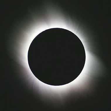 pvz122's profile picture. null