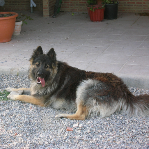 JuanJreto's profile picture. 