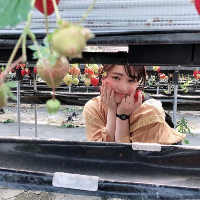 pirao_r7's profile picture. 