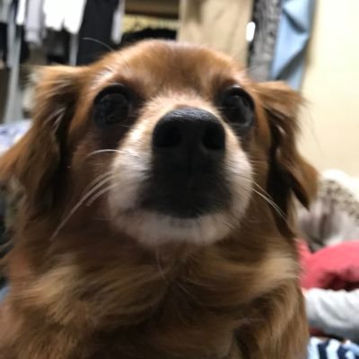 葵空shio いや ブサイクでもイケメン俳優でも無断で体触られたら気持ち悪いですよ 別に好きでもない男に襲われたくもないですし 女と一括りにされるのは不愉快 痴漢もレイプも顔関係なくない