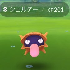 パンさんのプロフィール画像