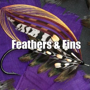 FeathersFins2's profile image