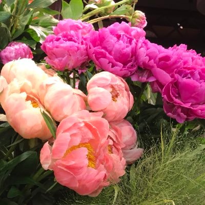 RySEvyYz0xcmwJm's profile picture. チャーミングを目指して！言葉の企画2020 歌人 https://t.co/0LEXkCQRG4 #CAC121期 #CAC叩き上げ8期 #CACボディコピー2022年度#コピーライター養成講座三島クラス