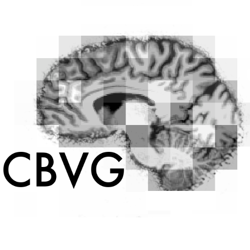 Computational & Biological Vision Group