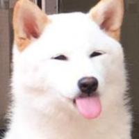 Sergiomg ✪ (@r0cks_) 's Twitter Profile