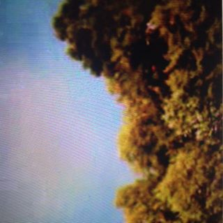 Filmmaker → https://t.co/eaat3tj8zz
Artistic Direction @Sabzianbe → https://t.co/QaAEiyS52S
Avila → https://t.co/IINJswmGvX