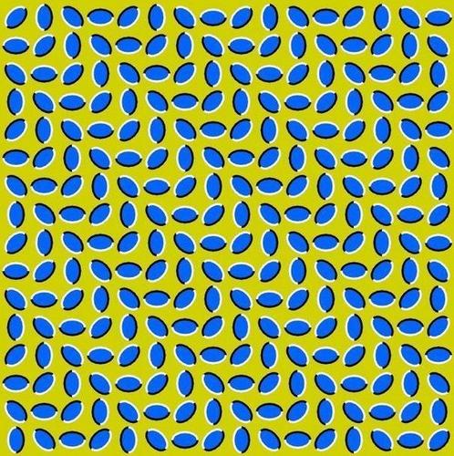 nottofollow's profile picture. Se você discorda, me siga. Saiba que há gente diferente de você.