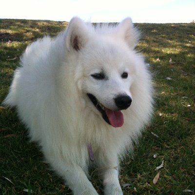 Nichola63948801's profile picture. 