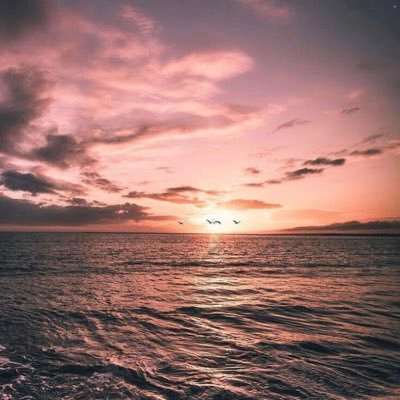 i_mez01's profile picture. معرفة التعامل مع الاشخاص