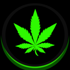 On here for my #Videogame & #Weed #Cannabis #Legalizeit news. Don't care about politics except for the previously mentioned. Not on here to argue about anything