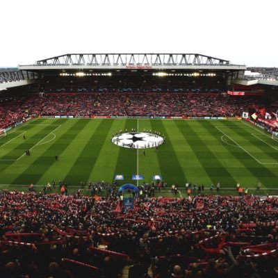 ImagesProcede's profile picture. 