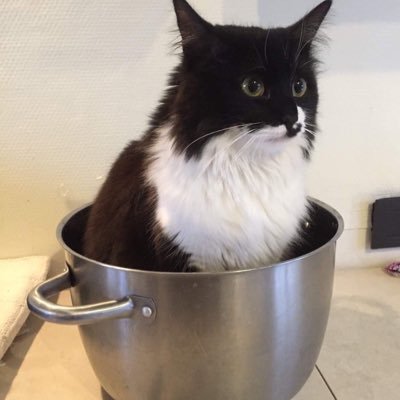 Bliizaard's profile picture. 