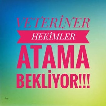 Atanamayan veteriner hekim