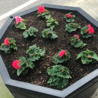 Brighter Bebington (@brighterbeb) 's Twitter Profile