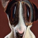 Eli Snyder - @eli_snyder12345 - Twitter