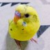 ãã¡ã@ããã¡ãããšã²ããã¡ãã (@ichisun) Twitter profile photo ãã¡ã@ããã¡ãããšã²ããã¡ãã (@ichisun) Twitter profile photo