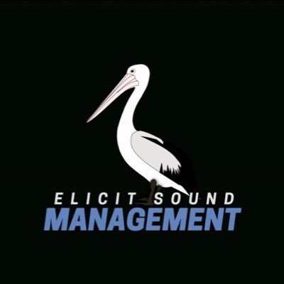 Elicit Sound