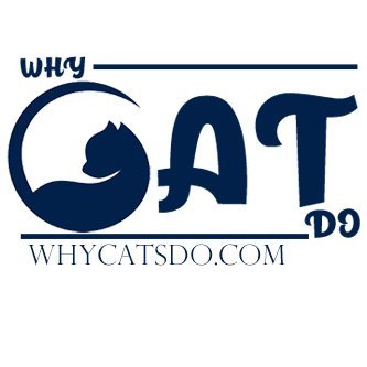 Why Cats Do
#best #cat_blog about why #cats do anything