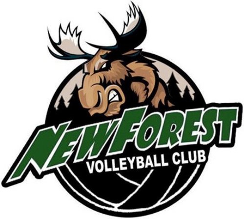 Youth & NVL Volleyball Club in the New Forest