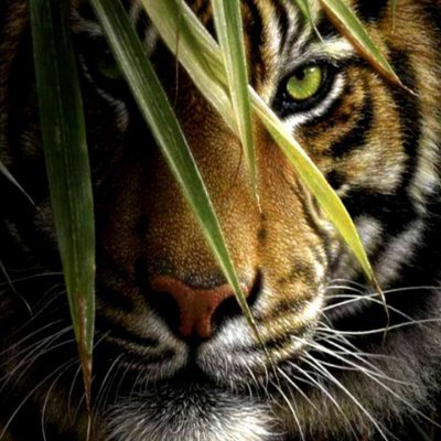 カナデル - Search / X