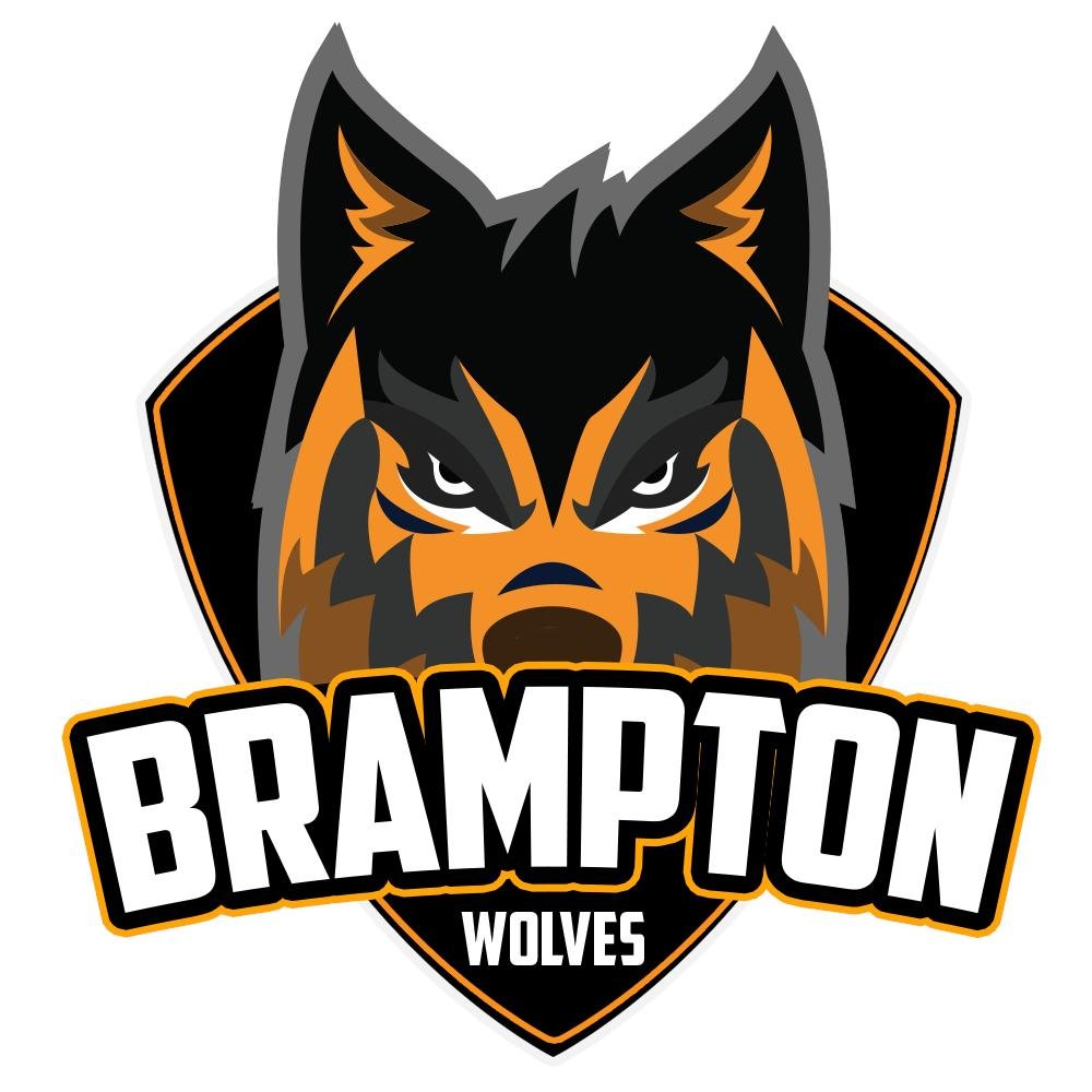 Brampton Wolves is a Cricket Team for GT20 Canada League