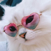 Ling (@ling_sec) Twitter profile photo Ling (@ling_sec) Twitter profile photo
