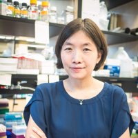 Natasha Chang (@chang_natasha) 's Twitter Profile