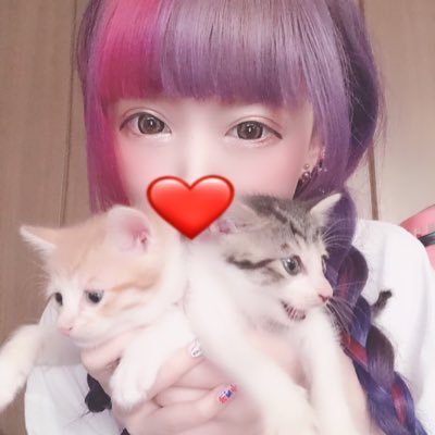 育児放棄をされ車庫から保護された雑種の兄弟猫の高虎＆龍王丸です♡飼い主は髪の毛が派手な女の子🧠💫おおよそ2019･05/01生まれ🕍飼い主｢@Nekomi_Reo｣