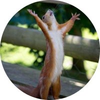 xalmills (@xalmills) 's Twitter Profile
