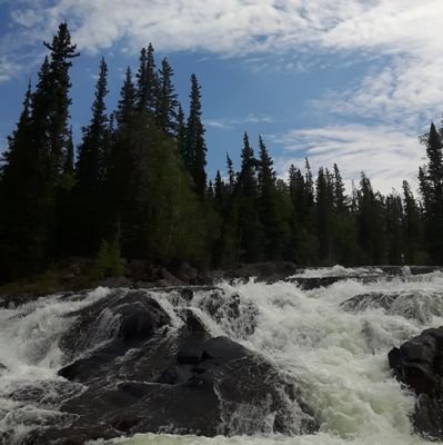 Born and raised in BC, living in Canada's north, Yellowknife. Love things like Youth Empowerment, to learn and join into the new internet digital marketing