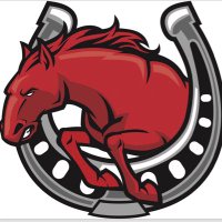 SAHS Boys Hockey (@ponyhockey) 's Twitter Profile Photo SAHS Boys Hockey (@ponyhockey) 's Twitter Profile Photo