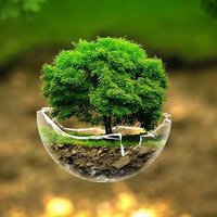 Crypto consultant (@cryptotaxacc) 's Twitter Profile