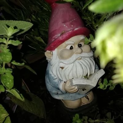 vpdoc68's profile picture. Licenciée en com numérique et info doc. Aime les petites histoires qui font la Grande  Histoire  #sciences #infodigitale #handicap