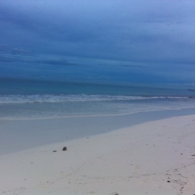 antothai61's profile picture. Musica