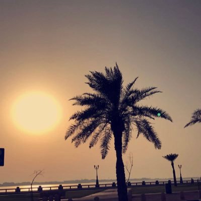 • أستاذ الخرائط و GIS# المساعد - قسم الجغرافيا كلية الآداب جامعة الأميرة نورة. • ##مدرب معتمد في #الموارد_البشرية -مرشد تطوعي