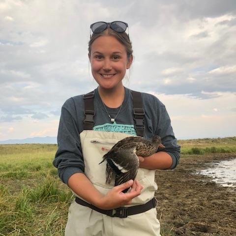 Avian Researcher | waterfowl, population dynamics, renewable energy, ag | PhD @ColoradoStateU | She/her | IG: conservationcasey | views my own