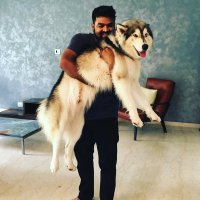 Rahul Sharma (@rahul110393) 's Twitter Profile Photo