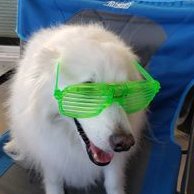 craig colby (@chezman) 's Twitter Profile