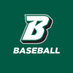 Binghamton Baseball (@BinghamtonBASE) Twitter profile photo