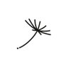 Nomad_Garden's profile picture. We develop ideas, projects and tools to value gardens as spaces of coexistence and health