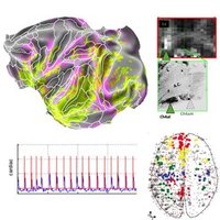 neurdylab (@neurdylab) 's Twitter Profile