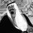 deemah2030's profile image