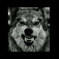 WTG (@mrbluebills) 's Twitter Profile