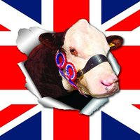 Happy Herefords (@happyherefords) 's Twitter Profile Photo Happy Herefords (@happyherefords) 's Twitter Profile Photo