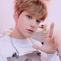 🌸 (@woozigay) 's Twitter Profile