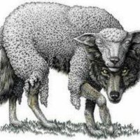joe.wolf 🐺 (@joewolf062) 's Twitter Profile